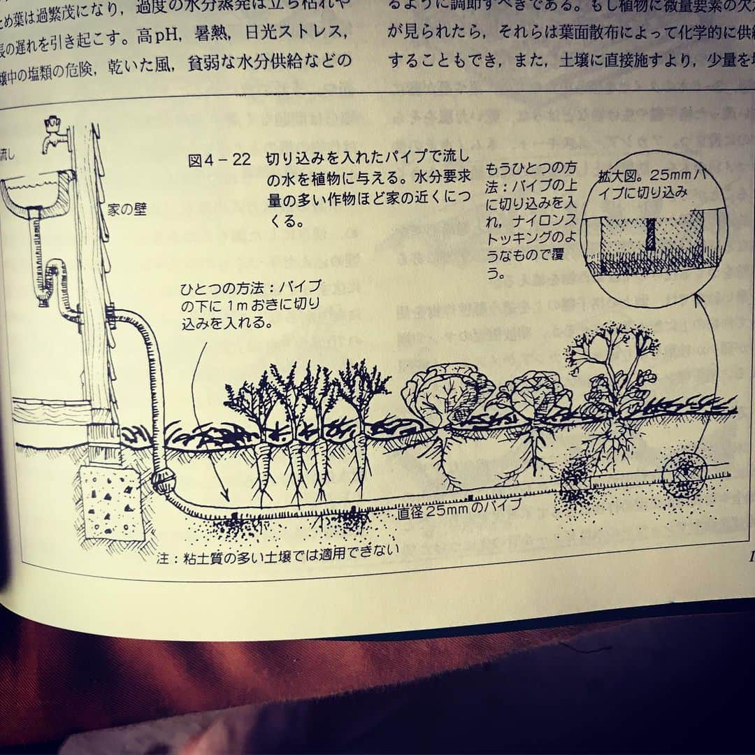 三宅洋平さんのインスタグラム写真 - (三宅洋平Instagram)「家の排水は実は栄養がたくさん。それをそのまま畑に導くシステム。自分の食べるものと直結することで、排水に含まれる成分にもライフスタイルの意識が向かう。 とりわけこれは米国西海岸や豪州のような、水の少ない地域ならではの知恵だが、日本でも活かせる考え方。しかし、つくづく日本は水が豊か。 #パーマカルチャー」6月23日 13時27分 - miyake_yohei