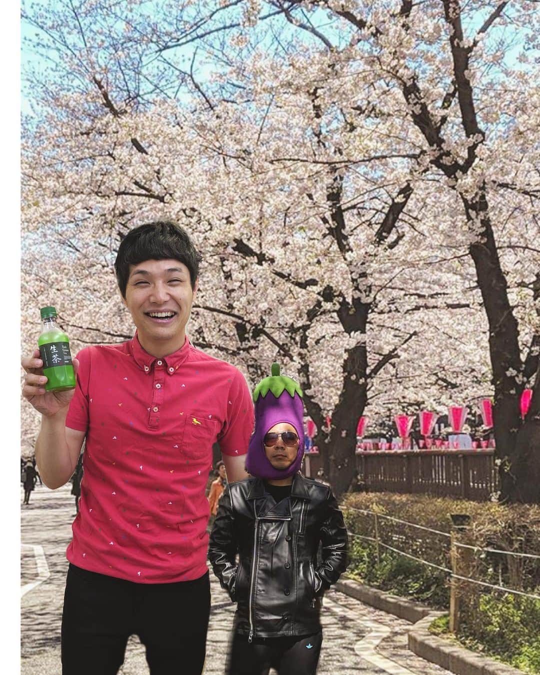 川原克己 さんのインスタグラム写真 - (川原克己 Instagram)「もう中さんが大きいわけでも僕が小さいわけでもない、桜が綺麗過ぎるのだ！！ ※お分り頂けただろうか、、本当は普通よりおかしいサイズは生茶（30円）であることを！！ #花見」6月23日 13時51分 - tenjikunezumikawahara