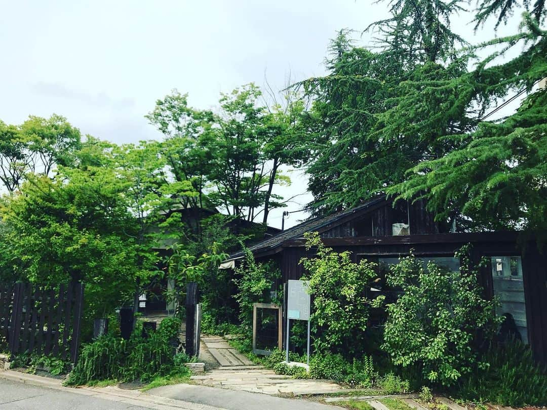 遠山正道さんのインスタグラム写真 - (遠山正道Instagram)「京都から奈良へ。バスを乗り継いで川沿い歩いて一人で#秋篠の森なず菜 へ なんと本日は予約で全て一杯。一人と思っていたら甘かった。 そして#くるみの木 へ。 なんと、入口に待合室があってそこも一杯。 一時間以上待ちと言われたが、なんと今回は一人が幸いし大テーブルへ入店、みたらし氷美味しく頂きました。 両店ともおそるべし。 三谷さんの椅子の看板含め全てに愛情が宿る素晴らしきお店でありました。 これから京都経由東京帰京。」6月23日 15時08分 - masatoyama