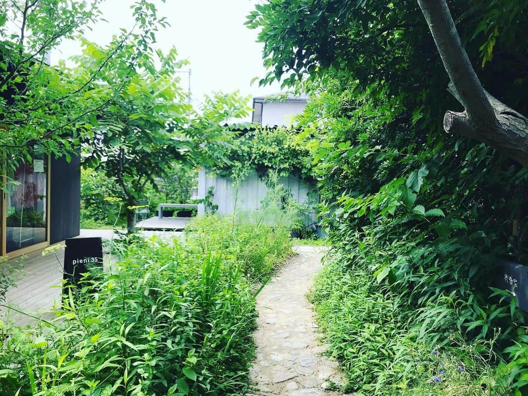 遠山正道さんのインスタグラム写真 - (遠山正道Instagram)「京都から奈良へ。バスを乗り継いで川沿い歩いて一人で#秋篠の森なず菜 へ なんと本日は予約で全て一杯。一人と思っていたら甘かった。 そして#くるみの木 へ。 なんと、入口に待合室があってそこも一杯。 一時間以上待ちと言われたが、なんと今回は一人が幸いし大テーブルへ入店、みたらし氷美味しく頂きました。 両店ともおそるべし。 三谷さんの椅子の看板含め全てに愛情が宿る素晴らしきお店でありました。 これから京都経由東京帰京。」6月23日 15時08分 - masatoyama