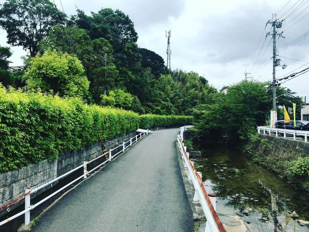遠山正道さんのインスタグラム写真 - (遠山正道Instagram)「京都から奈良へ。バスを乗り継いで川沿い歩いて一人で#秋篠の森なず菜 へ なんと本日は予約で全て一杯。一人と思っていたら甘かった。 そして#くるみの木 へ。 なんと、入口に待合室があってそこも一杯。 一時間以上待ちと言われたが、なんと今回は一人が幸いし大テーブルへ入店、みたらし氷美味しく頂きました。 両店ともおそるべし。 三谷さんの椅子の看板含め全てに愛情が宿る素晴らしきお店でありました。 これから京都経由東京帰京。」6月23日 15時08分 - masatoyama