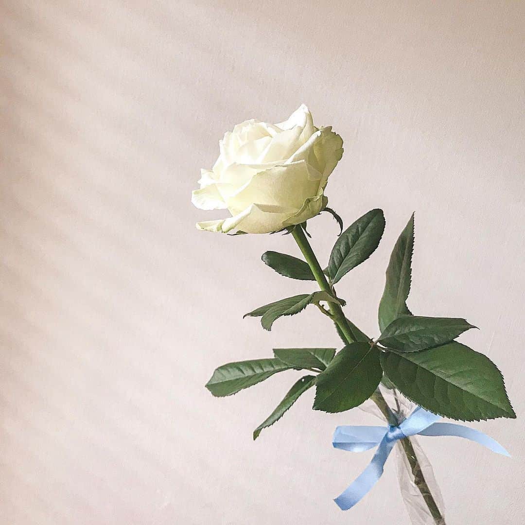 川島幸美さんのインスタグラム写真 - (川島幸美Instagram)「大きなバラ一輪🌹 予期せぬプレゼントって嬉しい🥰」6月23日 15時50分 - yukimikawashima