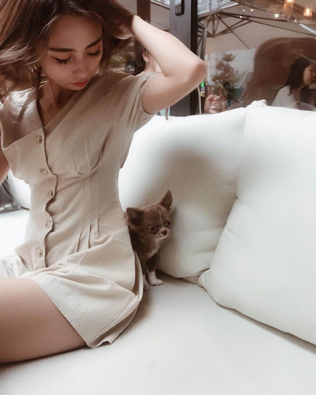 武村沙愛さんのインスタグラム写真 - (武村沙愛Instagram)「. . ちいちゃんの愛娘えまちゃん初対面👼 もうめろめろめろ。 ハイソックスをはいてるみたいな色と きれいなおめめがチャームポイントです🐶 みんなよろしくね💕 @emma__0223 . . #いぬすたぐらむ🐶 #チワワのいる暮らし」6月23日 16時11分 - sachika_takemura