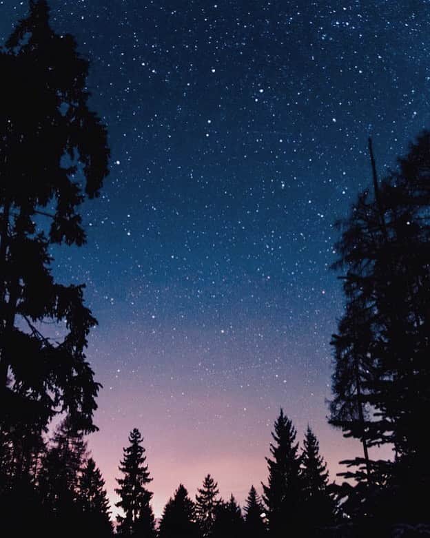 のインスタグラム：「For my part I know nothing with any certainty, but the sight of the stars makes me dream.#gogh」