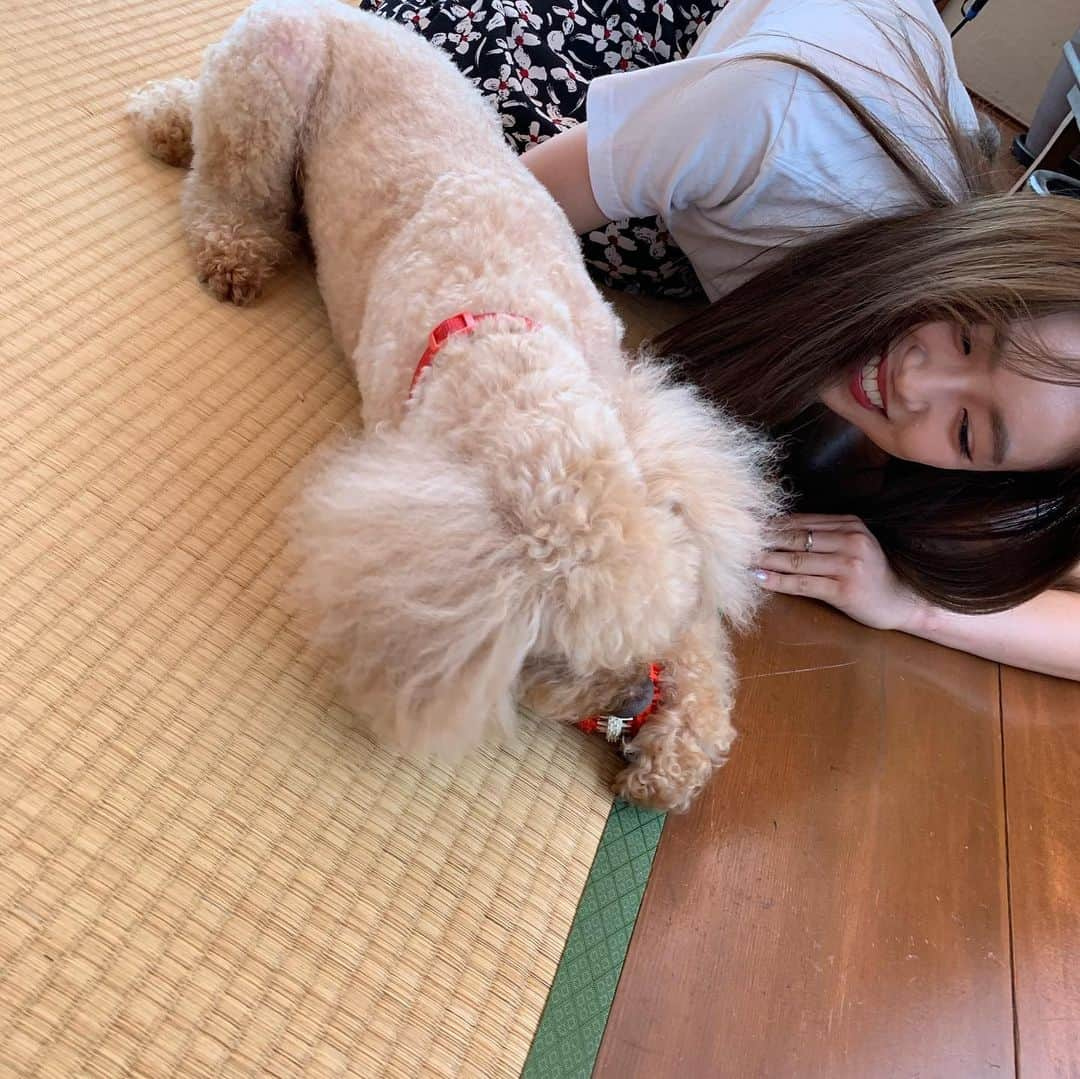 山口乃々華さんのインスタグラム写真 - (山口乃々華Instagram)「石井36(サブロー)サマ🐶 杏奈と36(サブロー)と３人…？で収録しました🌼 LDH TVの放送お楽しみに！ #EGサマー 📸@anna_ishii_official  @ldh_tv_official」6月23日 16時07分 - yamaguchi_nonoka_official