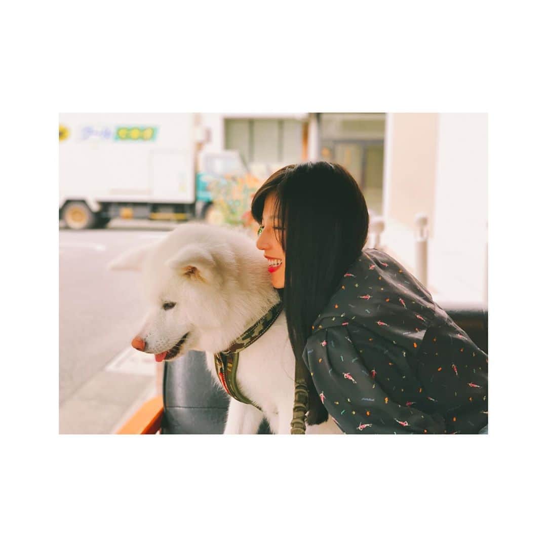 石井杏奈さんのインスタグラム写真 - (石井杏奈Instagram)「🐶🐶 36とお仕事してきました^ ^」6月23日 16時20分 - anna_ishii_official