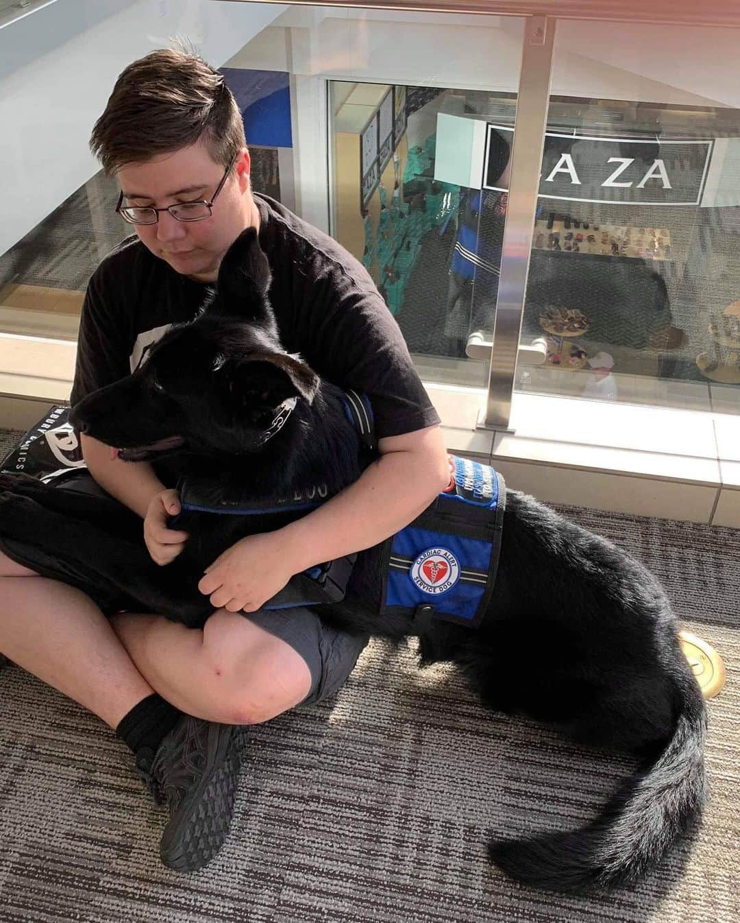 ニコラス・ブレンドンさんのインスタグラム写真 - (ニコラス・ブレンドンInstagram)「Meet Miss Green, she’s 8 months old. Currently she’s in service dog training to give medical alerts and responses. I’ll meet her in less than three weeks and then she’ll join my side as my best buddy.  You can check out her social media and follow the journey on @thesweetmissg (same on Facebook and Twitter!). #bestbuds #germanshepherd #mansbestfriend」6月24日 2時53分 - nicholasbrendon