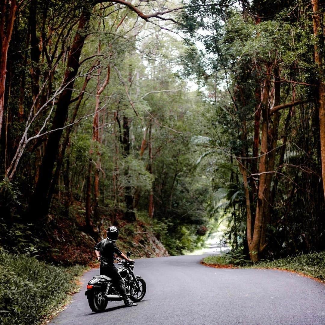 Harley-Davidsonさんのインスタグラム写真 - (Harley-DavidsonInstagram)「Detours keep things interesting. 🌳 📷@mainraw  #HarleyDavidson #FindYourFreedom #HDStreet500」6月24日 3時00分 - harleydavidson