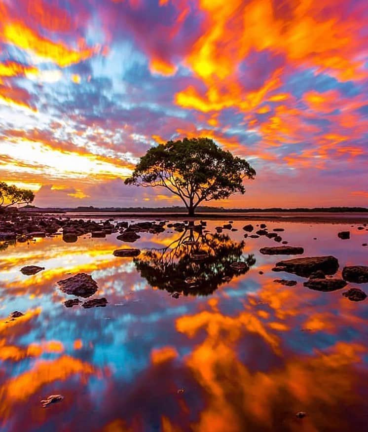 Canon Photographyさんのインスタグラム写真 - (Canon PhotographyInstagram)「What an amazing sunset and reflection captured perfectly in this image!  Photography | @shipwreckphotography  Brisbane, Australia  #canon_photos #reflection #sunset #magicalsky #sunsetlover #reflectiongram #beautifulphotos」6月23日 19時12分 - cpcollectives