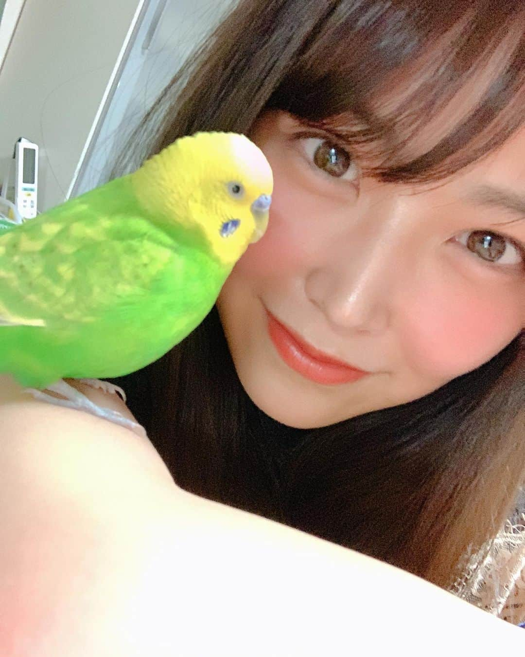 白間美瑠さんのインスタグラム写真 - (白間美瑠Instagram)「鳥さんを腕にのせてるー！！ 私、鳥さんは、怖くて近くに行くこともできなかったけど、、、腕にのせれてるよーーー！！！ すごいーーーー！笑」6月23日 19時23分 - shiro36run