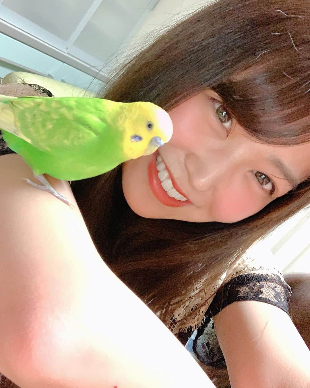 白間美瑠さんのインスタグラム写真 - (白間美瑠Instagram)「鳥さんを腕にのせてるー！！ 私、鳥さんは、怖くて近くに行くこともできなかったけど、、、腕にのせれてるよーーー！！！ すごいーーーー！笑」6月23日 19時23分 - shiro36run