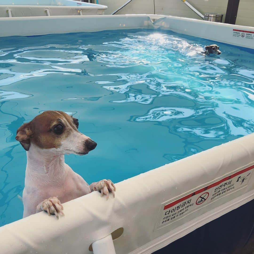 チョ・グォン さんのインスタグラム写真 - (チョ・グォン Instagram)「올해 #개수영 🏊🏻‍♂️🏊🏻‍♀️」6月23日 19時20分 - kwon_jo