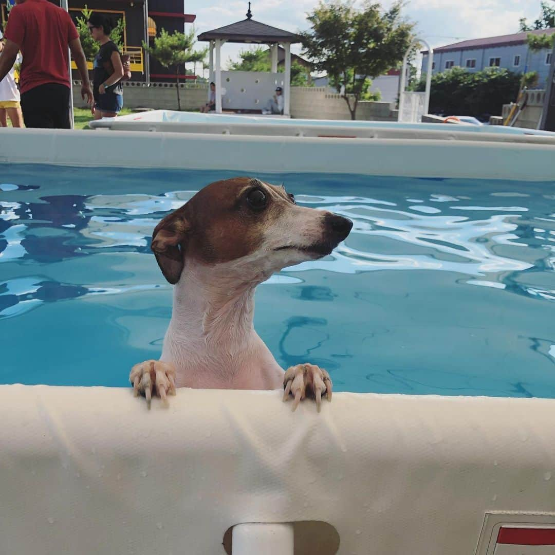 チョ・グォン さんのインスタグラム写真 - (チョ・グォン Instagram)「올해 #개수영 🏊🏻‍♂️🏊🏻‍♀️」6月23日 19時20分 - kwon_jo