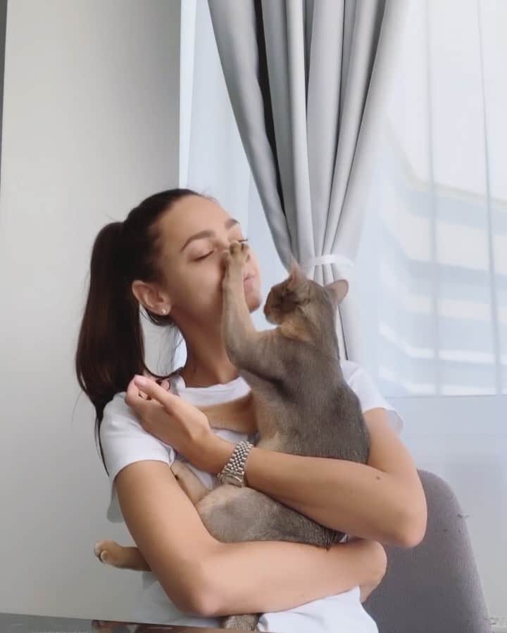 Zhenya Katavaのインスタグラム：「Не могла не поделиться этим с Вами ♥️ Соскучились друг по другу.  #абиссинец」