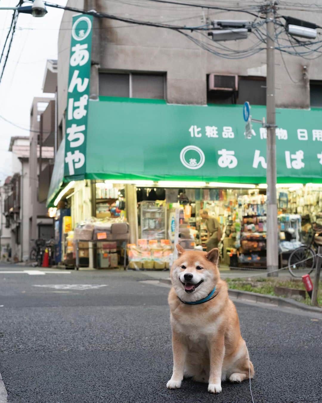 まる（まるたろう）のインスタグラム