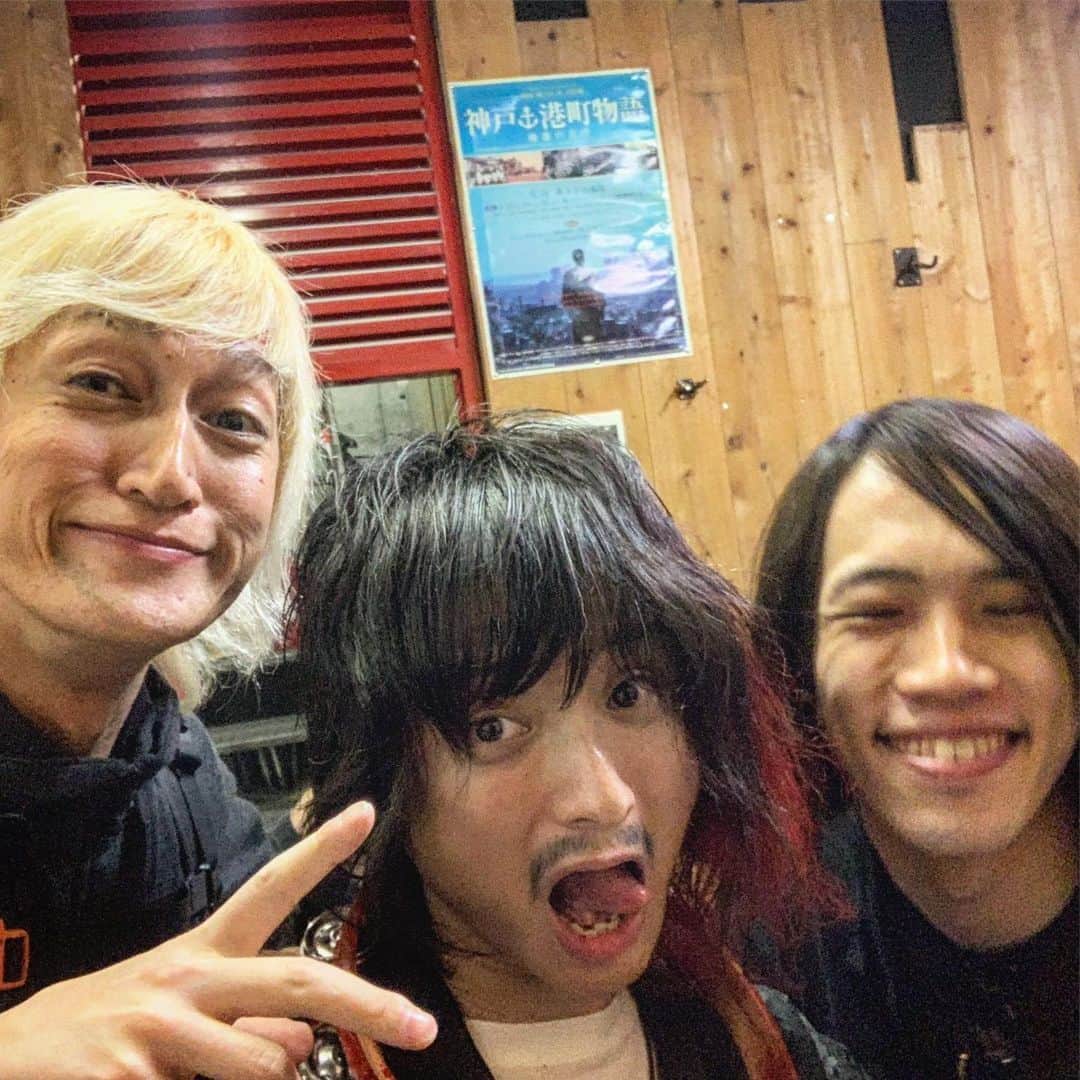 のインスタグラム：「グッドバイブス！🔥 #アルカラ #ネコフェス」