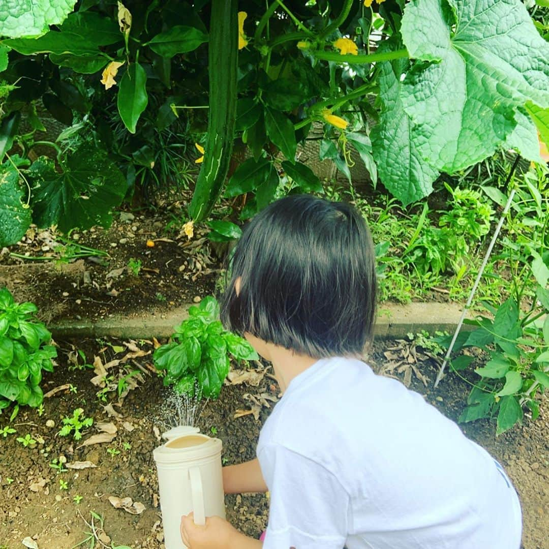 大和田美帆さんのインスタグラム写真 - (大和田美帆Instagram)「今日は 千葉の親戚宅で土にたくさん触れて遊びましたー！  都内ではなかなかできない経験。 . 「気持ち良さそう！」と言いながら自ら裸足になって濡れた土の上に立った時、「、、、気持ち悪い。。」と顔が固まったのが面白かった。 . . 土で作ったグラタンやピザ。 今年も収穫させてもらった夏野菜。 土まみれになった手足、洋服。 虫をキャーキャー言いながら観察したこと。 全部たのしい思い出！」6月23日 20時26分 - miho_ohwada