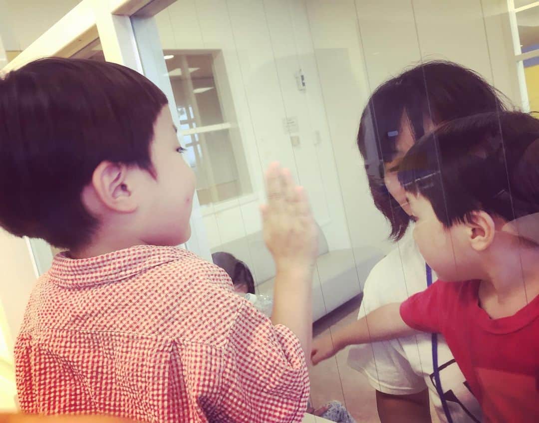 のインスタグラム：「チビAとチビB窓越しの再会。その後1分で飽きる #再会」