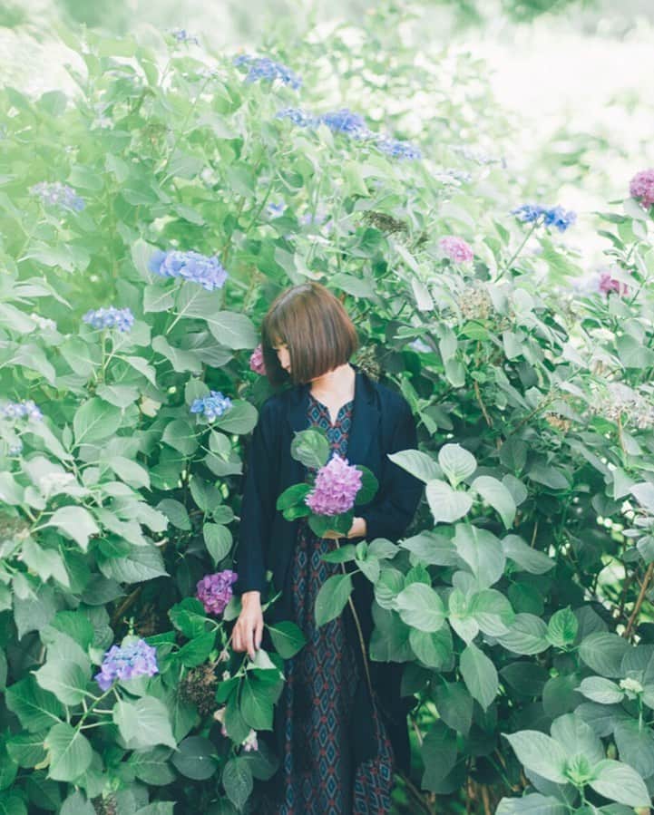 sorayuchiのインスタグラム：「summer cut✂︎ ・ 髪伸ばしたいと言いながら、また髪切ってしまいました✂︎ 次こそもう切らない😕 ・ FUJI使いだしてから、緑がすごくスキな感じになる♡」