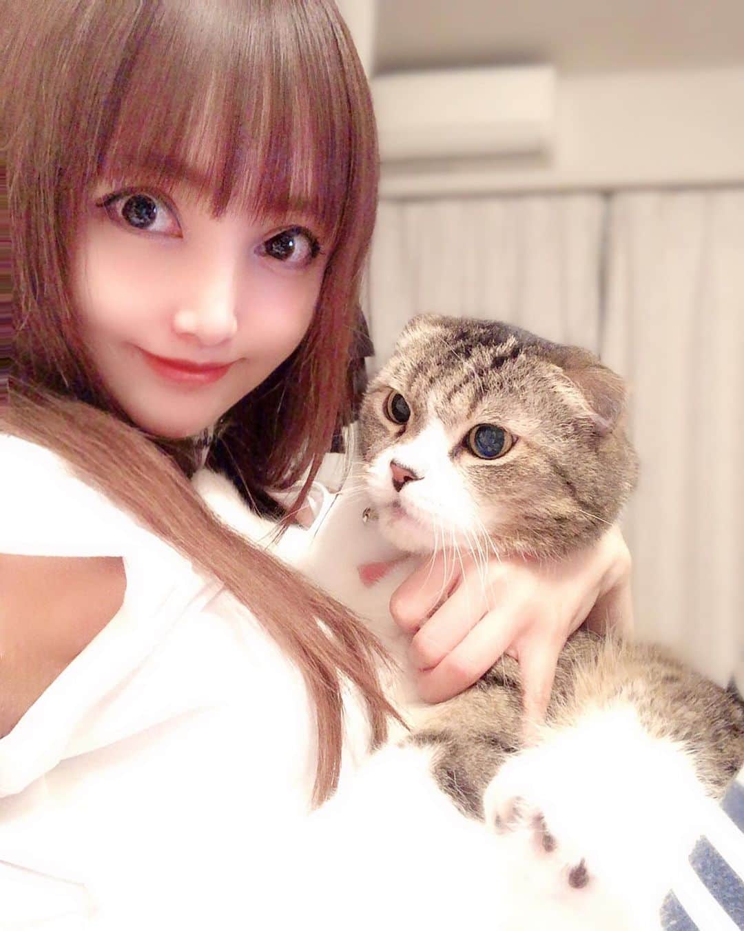 宇佐美あいりさんのインスタグラム写真 - (宇佐美あいりInstagram)「ランたんとの休日꒰⌯͒•·̫•⌯͒꒱ 💓ランたんとツーショット♬抱っこ嫌いだから撮るの難しいwもこもこでデブ猫🐱ちゃん可愛い🐈💕 #グラドル自画撮り部#猫顔#愛猫#猫#ねこ#cat#고양이#애완동물#スコティッシュフォールド#귀여운#デブ猫#にゃんすた#にゃんすたグラム#みんねこ#ねこ部#ねこのきもち#猫好き#instacat#catstagram#猫バカ#可愛い#ドラえもん#似てる#みみおれ#ねこと暮らす#followme」6月23日 20時44分 - airi.usami_official