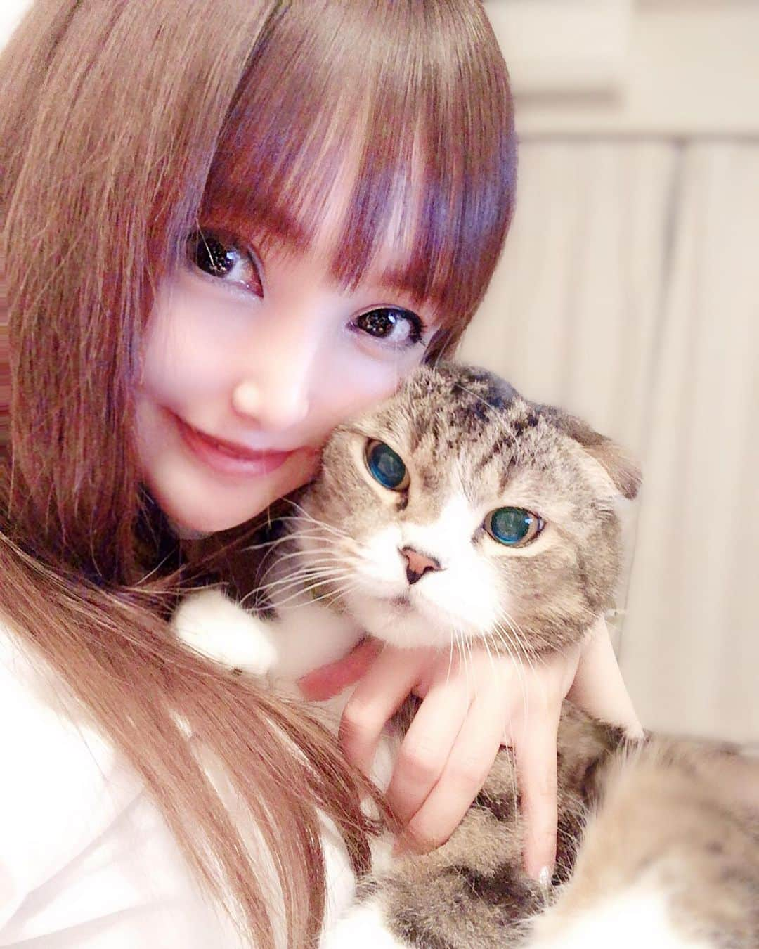 宇佐美あいりさんのインスタグラム写真 - (宇佐美あいりInstagram)「ランたんとの休日꒰⌯͒•·̫•⌯͒꒱ 💓ランたんとツーショット♬抱っこ嫌いだから撮るの難しいwもこもこでデブ猫🐱ちゃん可愛い🐈💕 #グラドル自画撮り部#猫顔#愛猫#猫#ねこ#cat#고양이#애완동물#スコティッシュフォールド#귀여운#デブ猫#にゃんすた#にゃんすたグラム#みんねこ#ねこ部#ねこのきもち#猫好き#instacat#catstagram#猫バカ#可愛い#ドラえもん#似てる#みみおれ#ねこと暮らす#followme」6月23日 20時44分 - airi.usami_official