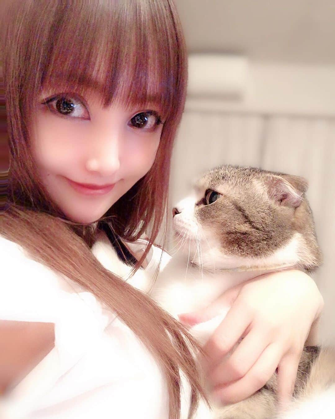 宇佐美あいりさんのインスタグラム写真 - (宇佐美あいりInstagram)「ランたんとの休日꒰⌯͒•·̫•⌯͒꒱ 💓ランたんとツーショット♬抱っこ嫌いだから撮るの難しいwもこもこでデブ猫🐱ちゃん可愛い🐈💕 #グラドル自画撮り部#猫顔#愛猫#猫#ねこ#cat#고양이#애완동물#スコティッシュフォールド#귀여운#デブ猫#にゃんすた#にゃんすたグラム#みんねこ#ねこ部#ねこのきもち#猫好き#instacat#catstagram#猫バカ#可愛い#ドラえもん#似てる#みみおれ#ねこと暮らす#followme」6月23日 20時44分 - airi.usami_official