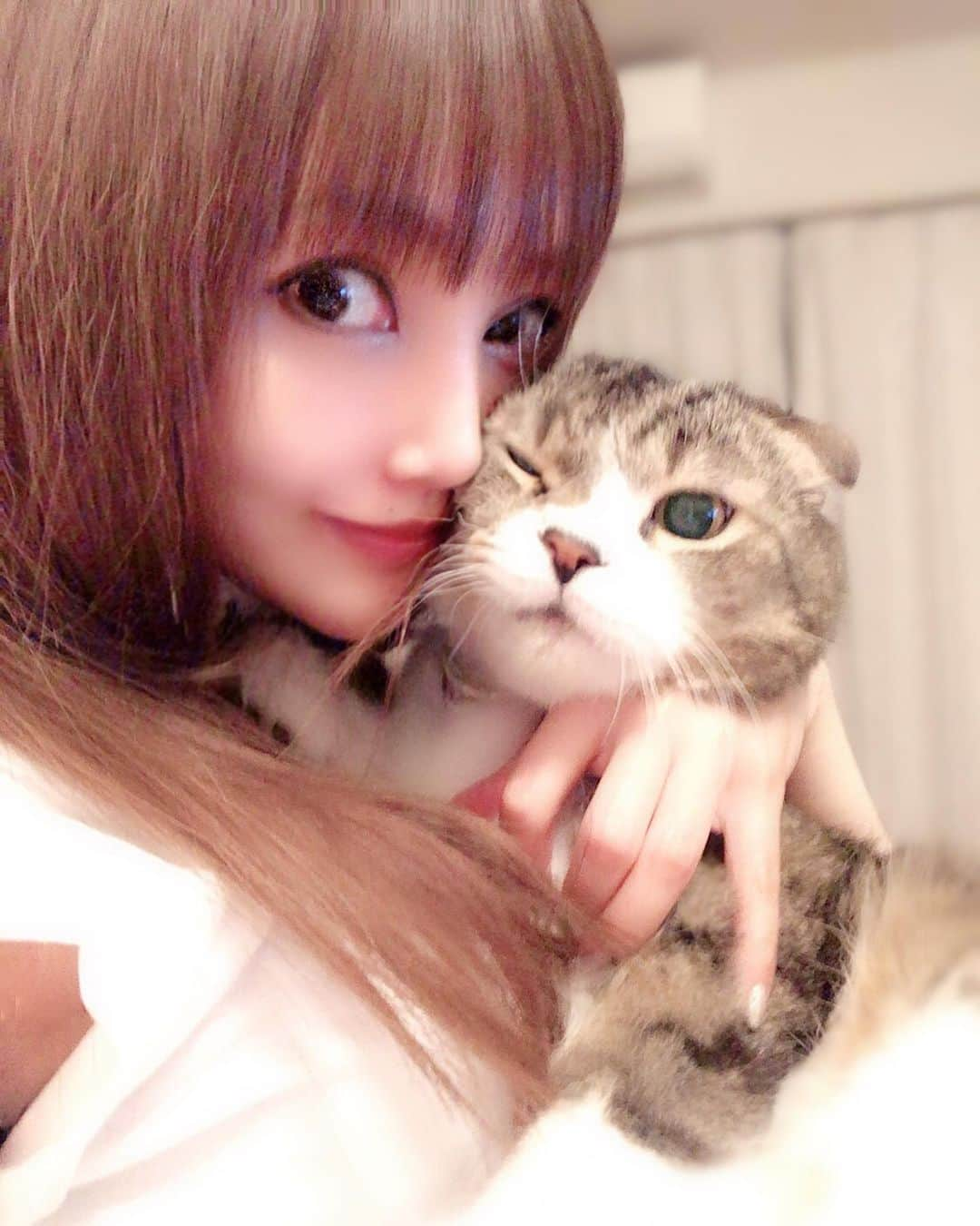 宇佐美あいりさんのインスタグラム写真 - (宇佐美あいりInstagram)「ランたんとの休日꒰⌯͒•·̫•⌯͒꒱ 💓ランたんとツーショット♬抱っこ嫌いだから撮るの難しいwもこもこでデブ猫🐱ちゃん可愛い🐈💕 #グラドル自画撮り部#猫顔#愛猫#猫#ねこ#cat#고양이#애완동물#スコティッシュフォールド#귀여운#デブ猫#にゃんすた#にゃんすたグラム#みんねこ#ねこ部#ねこのきもち#猫好き#instacat#catstagram#猫バカ#可愛い#ドラえもん#似てる#みみおれ#ねこと暮らす#followme」6月23日 20時44分 - airi.usami_official