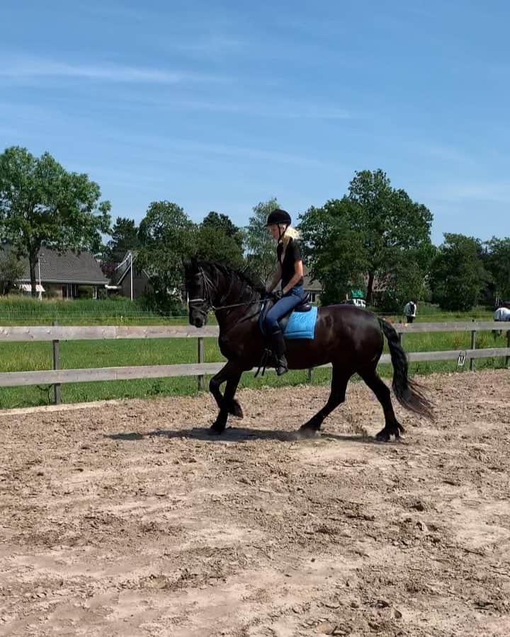 マリヤン・ジョンクマンのインスタグラム：「Sunday perfection 🐎」