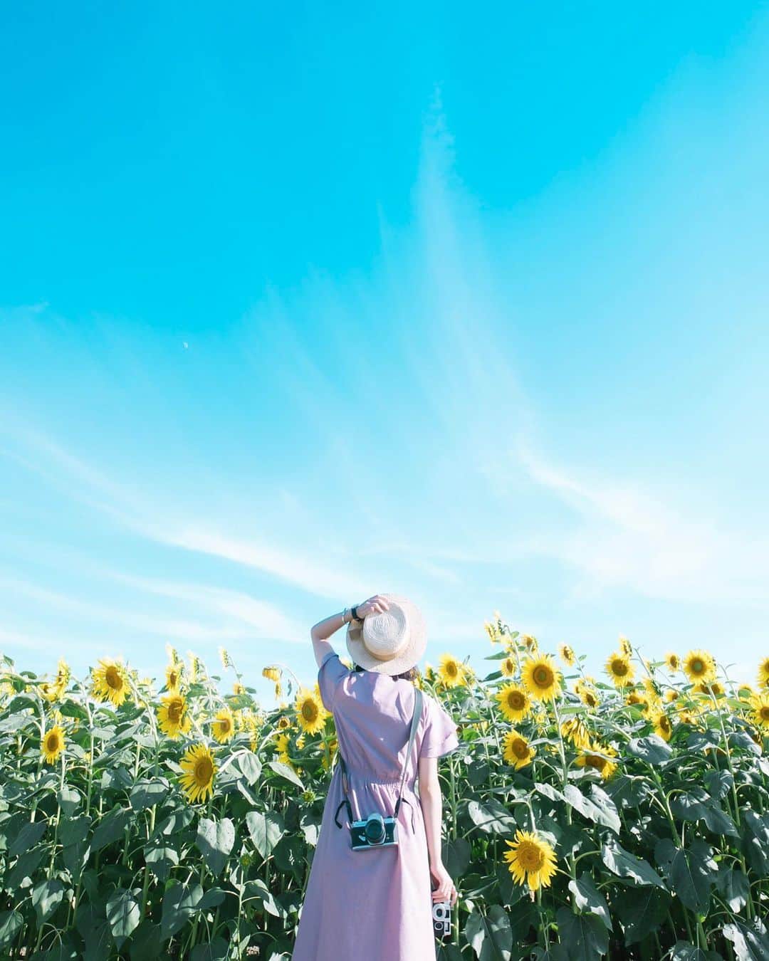 Kobe Japan Water artさんのインスタグラム写真 - (Kobe Japan Water artInstagram)「"is the summer coming ?" . 今のところ梅雨の影はなし. #近畿の梅雨入りはいつ」6月23日 20時55分 - soraky