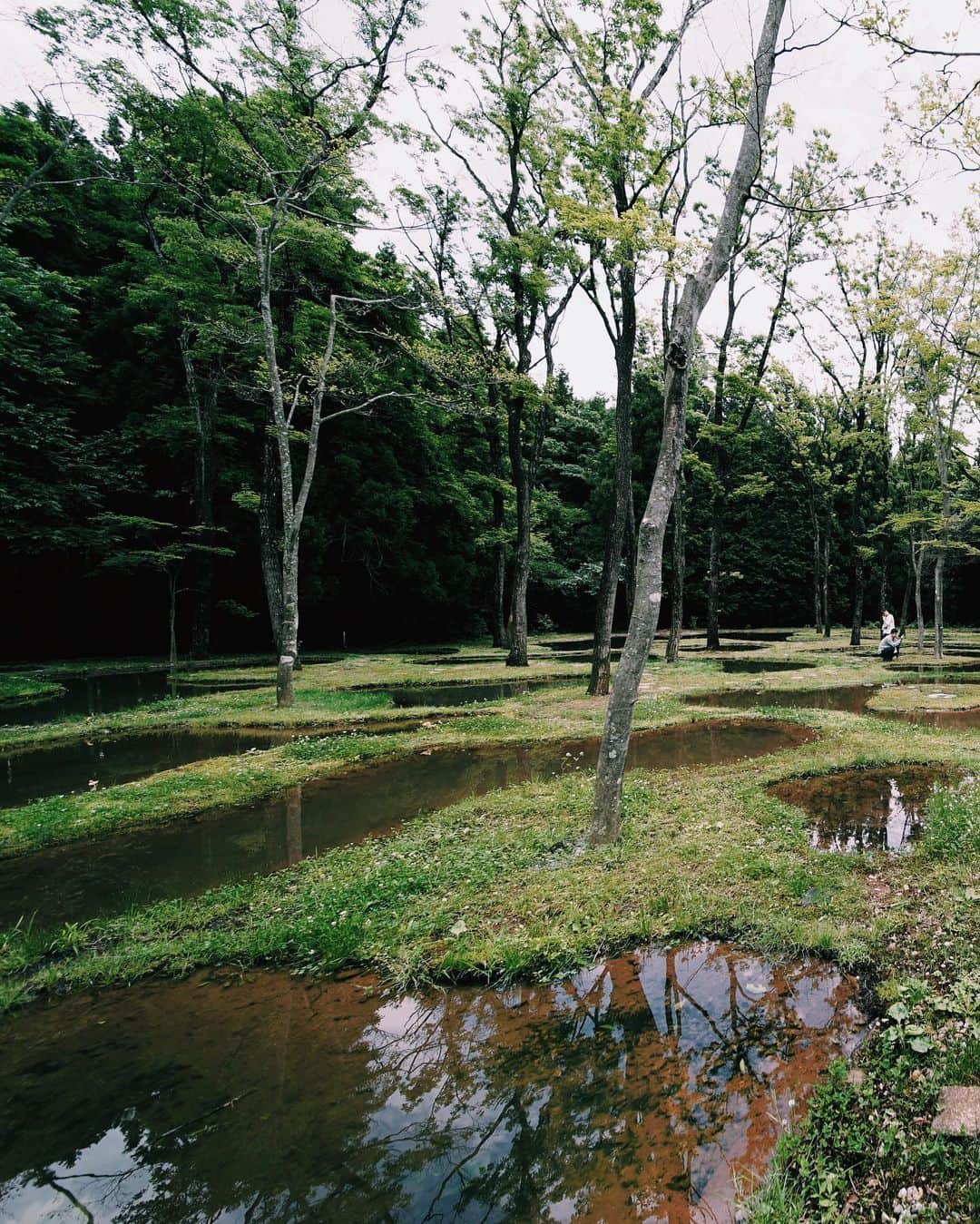 ima_ju / Jun Iのインスタグラム：「. . Biotope Around . . ::」
