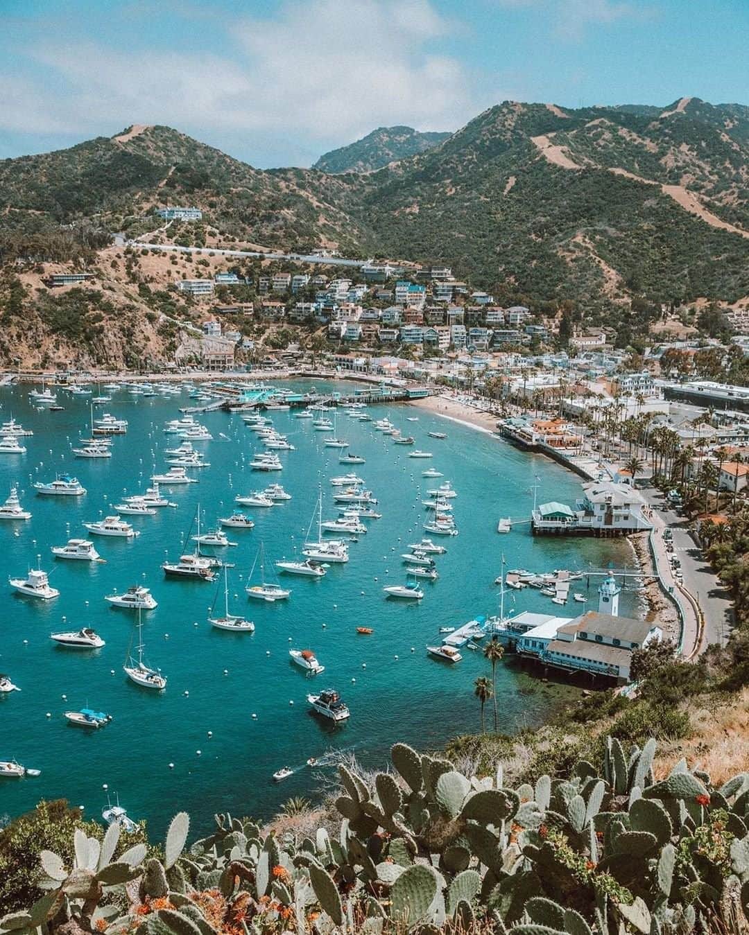 Travel + Leisureさんのインスタグラム写真 - (Travel + LeisureInstagram)「Travel to Catalina Island for a Mediterranean-style vacation without the international travel costs. Get our guide to the island at the link in bio! #tlpicks courtesy of @lumadeline」6月23日 21時03分 - travelandleisure