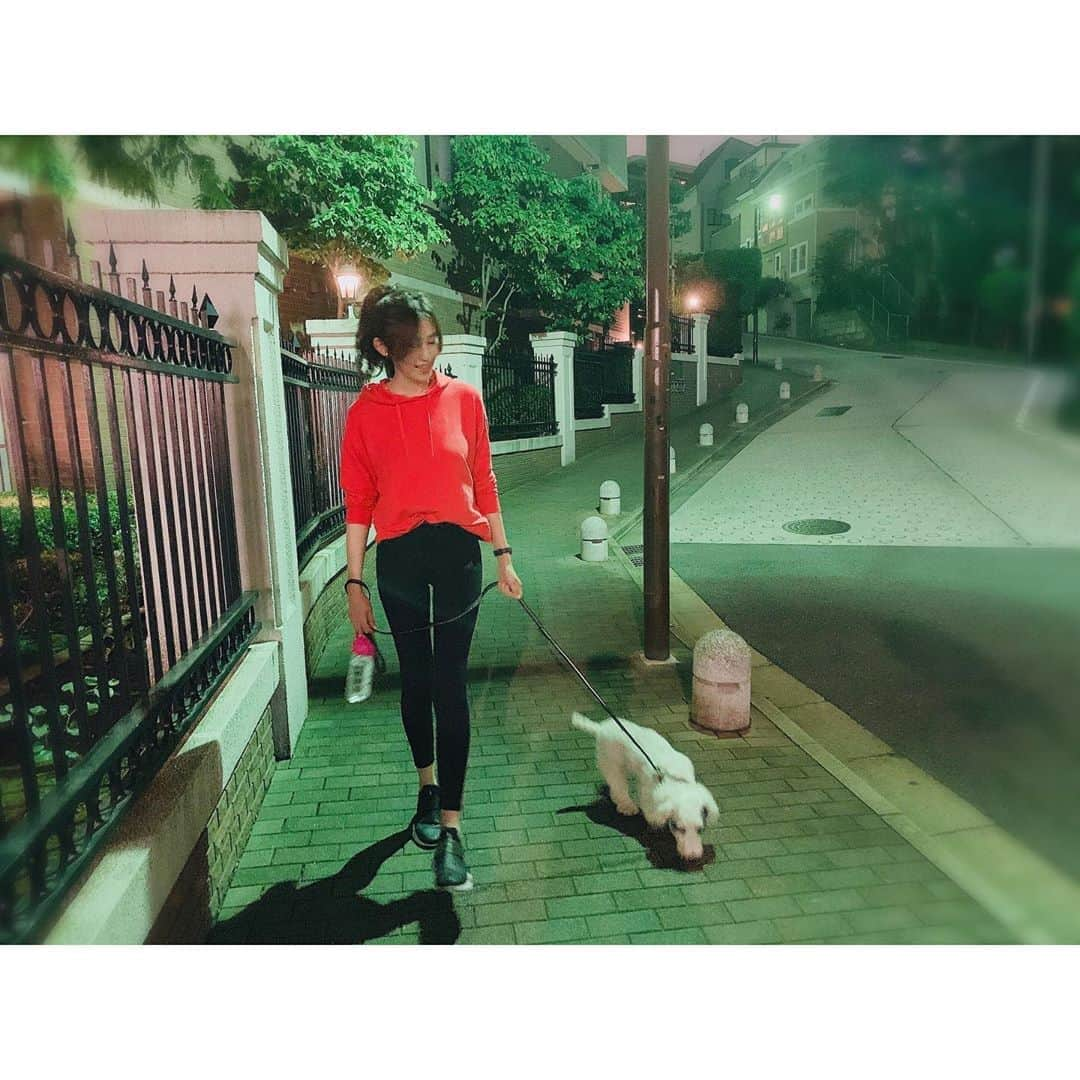 有村実樹さんのインスタグラム写真 - (有村実樹Instagram)「🏃‍♂️🏃‍♀️🐶﻿ 今日はイリスも一緒にウォーキング♪﻿ ﻿ ﻿ 梅雨は肩こりや頭痛が増えるけど、今年はウォーキングとヨガで去年よりも快適に過ごせています😊﻿ ﻿ 以前ご質問頂いた、写真でも履いているスパッツ(言い方あってるかな？)はアディダスです☆ ﻿ ﻿ ﻿ #家族の時間 #有酸素運動 #ウォーキング #のんびり #運動 #梅雨を快適に #イリス #シーリハムテリア #わんこ #繁殖引退犬」6月23日 21時34分 - arimura_miki