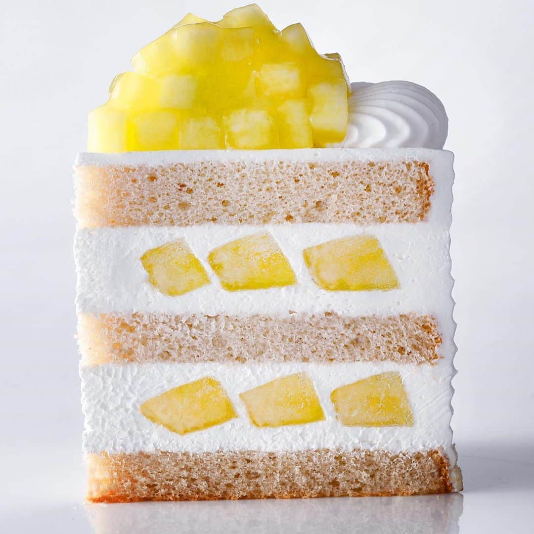 ホテル ニューオータニさんのインスタグラム写真 - (ホテル ニューオータニInstagram)「“Extra Super Melon Shortcake”﻿ Patisserie SATSUKI﻿ ﻿ Try this luxurious cake using one third of the finest Shizuoka muskmelon(per piece)!﻿ ﻿ 『エクストラスーパーメロンショートケーキ』﻿ パティスリーSATSUKI﻿ ﻿ 静岡県産マスクメロンの約3分の1を1ピースに使用した、贅を極めたショートケーキ。﻿ ﻿ 【Instagramキャンペーン開催中！(6/30まで)】﻿﻿ ①当アカウントをフォローする﻿﻿ ②@hotelnewotanitokyo をタグ付けする﻿﻿ ③#抹茶とメロンとチョコレート のハッシュタグを付ける﻿﻿ ﻿﻿ 上記を満たした投稿をした方の中から抽選で、レストラン招待券などが当たります！メロンだけ、抹茶だけ、チョコレートだけでももちろんOK。奮ってご参加ください。﻿﻿ ﻿ #パティスリーsatsuki #パティスリーサツキ #エクストラスーパーメロンショートケーキ #スーパーシリーズ #マスクメロン #メロン #ケーキ #パティスリー #赤坂 #ホテルニューオータニ﻿ #patisseriesatsuki #extrasupermelonshortcake #shortcake #melon #muskmelon #patisserie #beautifulcake #tokyo #akasaka #thepreferredlife @hotelnewotanitokyo」6月23日 21時40分 - hotelnewotanitokyo