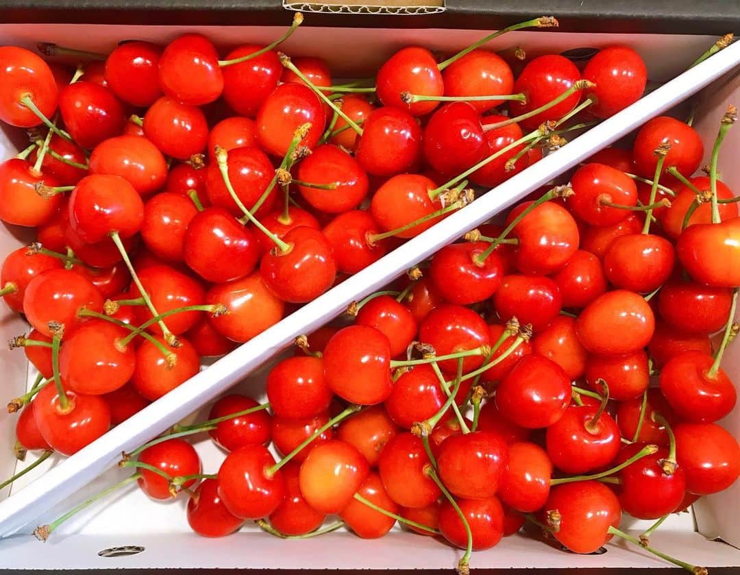 のインスタグラム：「* 🍒💓🤤 #山形からの贈り物  #さくらんぼ大好き🍒」