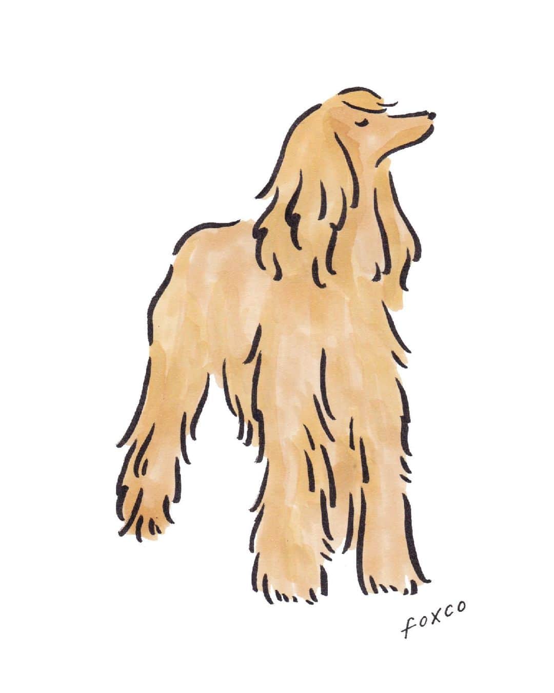 渡邉香織のグルメインスタ