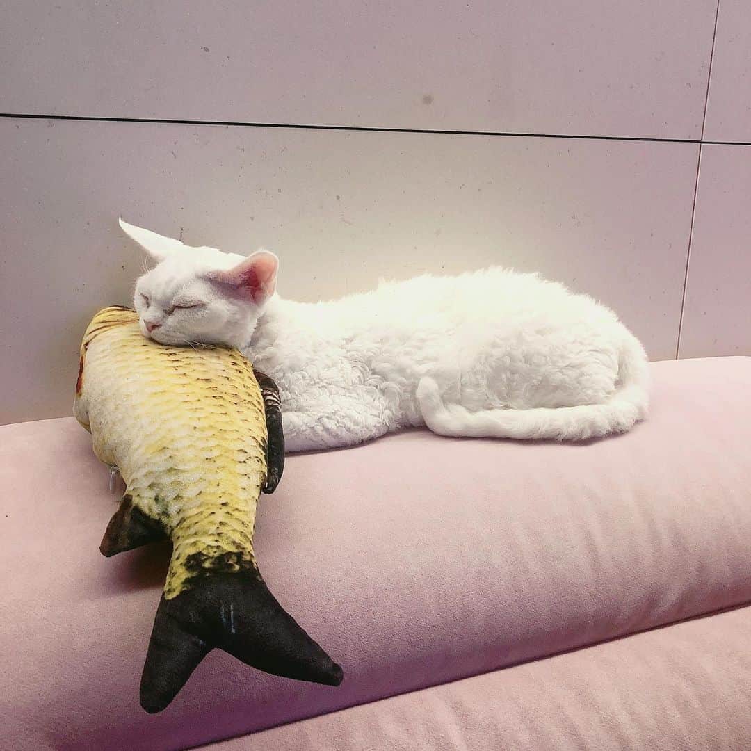 サニー のインスタグラム：「오구! 그게 니꺼야??!! ㅋㅋㅋㅋㅋ 알써~ 너 다~ 가져 다~~!!!!! #소금」