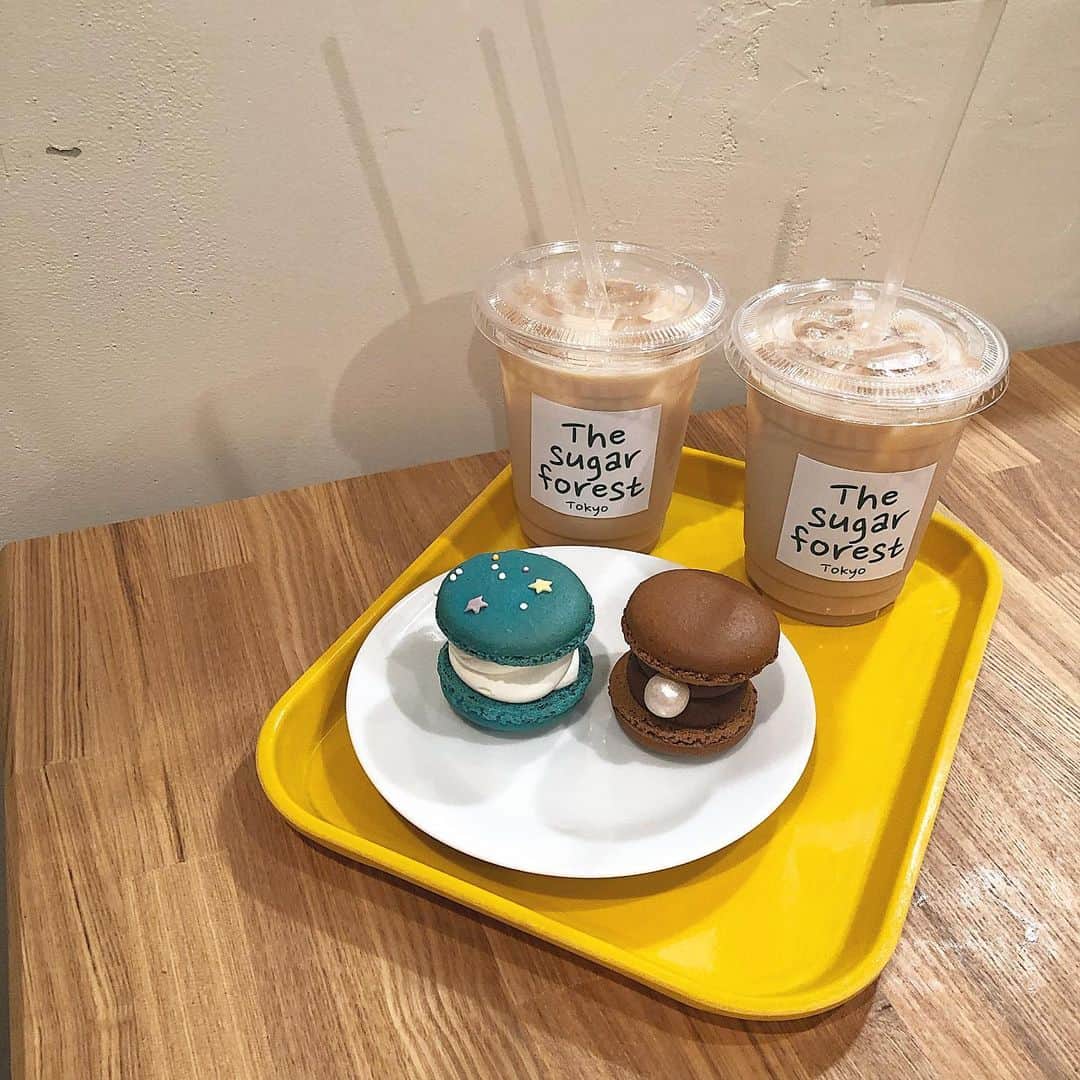 桑島 夢のグルメインスタ