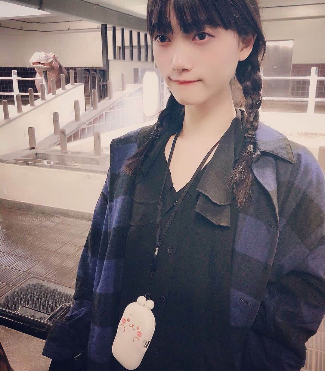 阿知波妃皇のインスタグラム：「🦛」