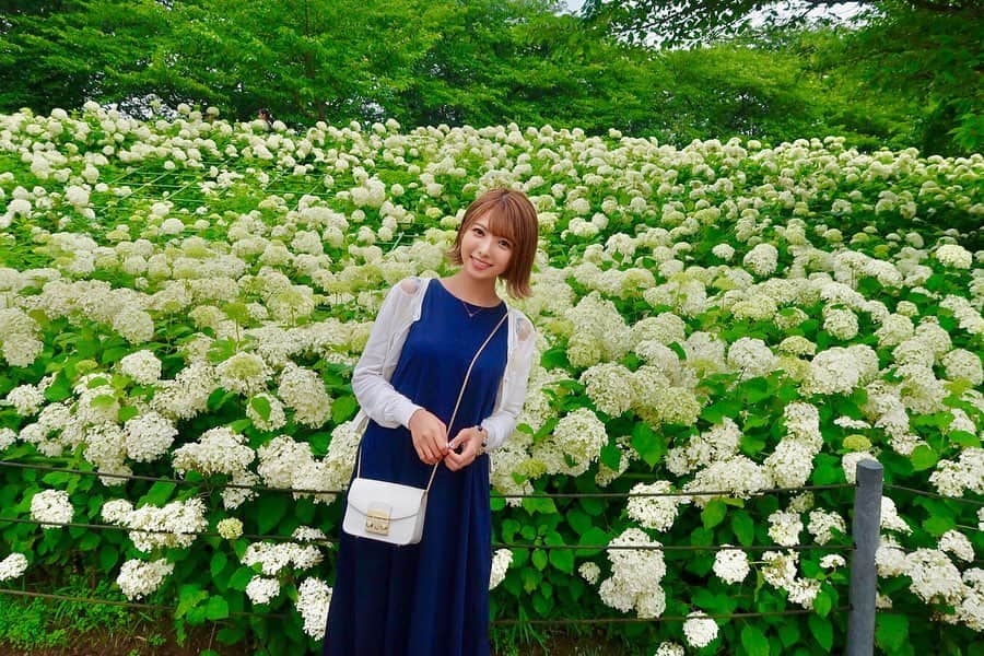 岡田栞奈のインスタグラム：「「幸手あじさいまつり」の 1番の見所はこの一面を 真っ白に彩るアナベル💓 何度見ても惚れ惚れしてしまいます☺️💕 これのために来てよかった(•'-'•) ・ ・ 花言葉は「ひたむきな愛」 ・ ・ #埼玉 #幸手権現堂堤 #アジサイ #紫陽花 #幸手あじさいまつり #アナベル #花言葉 #ドライブ #遠出 #カメラ女子 #梅雨 #日本の風景 #花 #花のある暮らし #花好きな人と繋がりたい #flowers」