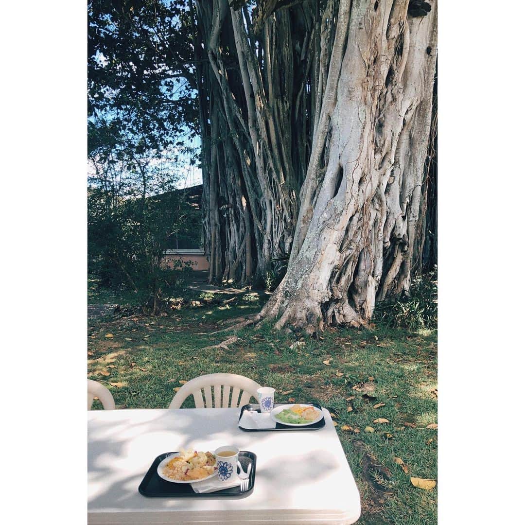 eriさんのインスタグラム写真 - (eriInstagram)「街から少しはずれた、住宅街の奥にあるインディアンコミュニティの敷地の中庭でカレーを食べた。とんでもない巨木の隣で食べたカレー美味しかった。」6月23日 22時24分 - e_r_i_e_r_i