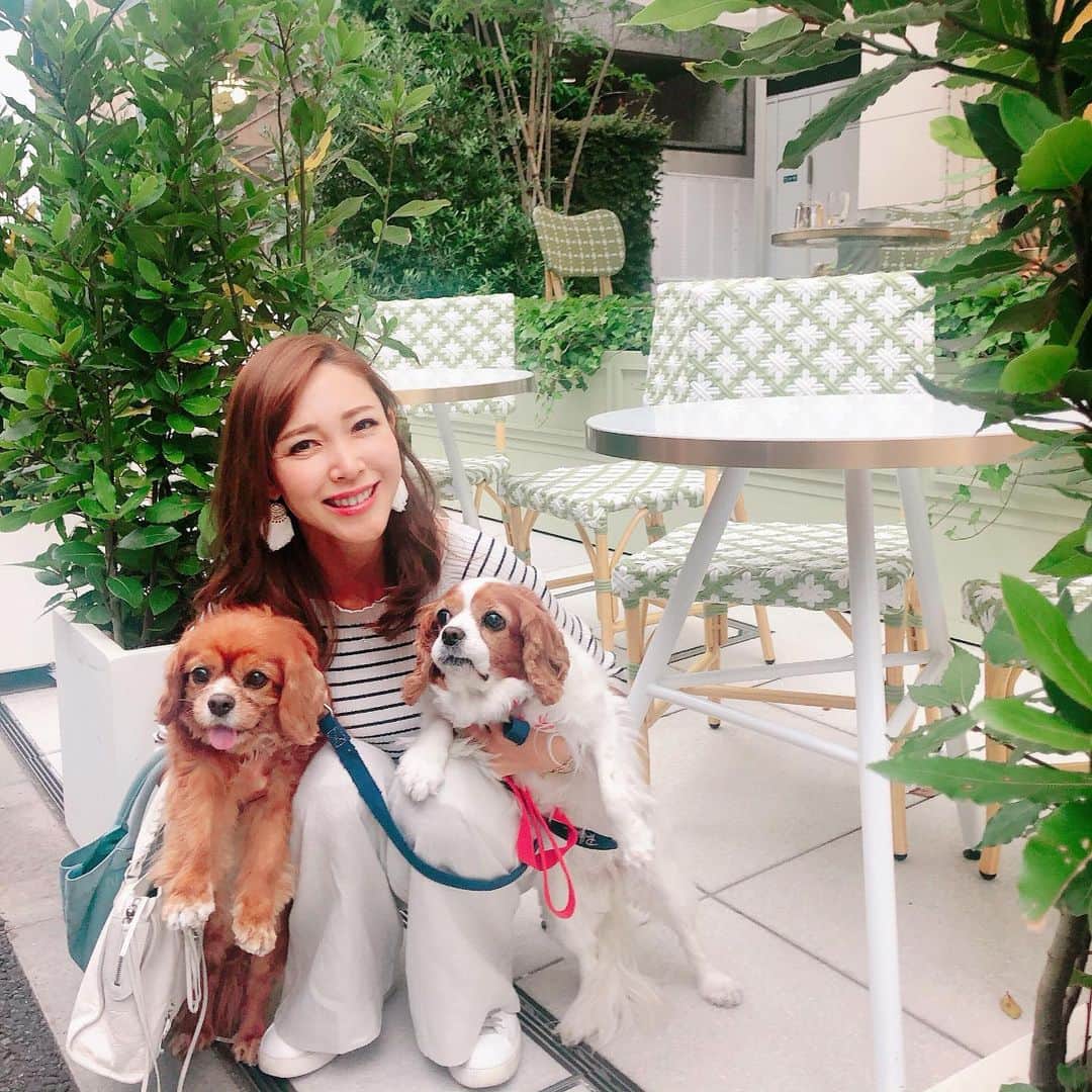 長谷川朋美のインスタグラム