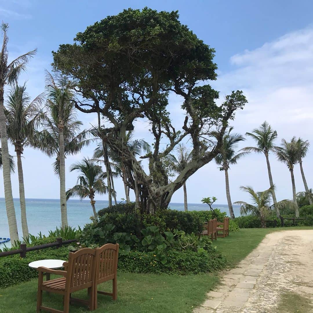 知念美加子さんのインスタグラム写真 - (知念美加子Instagram)「Moon Beach Hotel 🌙 ・ ・ ・ 今回滞在したムーンビーチホテル⛱思い出の場所というのもあるけど、ダーリンが建築物として気になるって事で、隈なく散策❤️ ・ ・ 1975年に沖縄県内初の本格的なリゾートホテルとして誕生したこと。 ・ ・ 設計士の國場さんの言う、「人間は無駄がないと寂しいんだ、遊びがないと」という言葉。 ・ ・ 効率にとらわれず、無駄を肯定する。という意味を体感。 ・ ・ ・ ・ 2人でウンウンと頷きなながら散歩してました🌺笑 ・ ・ ・ もちろん、新しいものにも魅力があるけど、古くから愛される理由を知ることもいいもんだ❤️ ・ ・ ・ ・ #ホテル #hotel #沖縄 #okinawalife #設計デザイン  #ちねんのすすめ」6月23日 22時36分 - chinenmikako