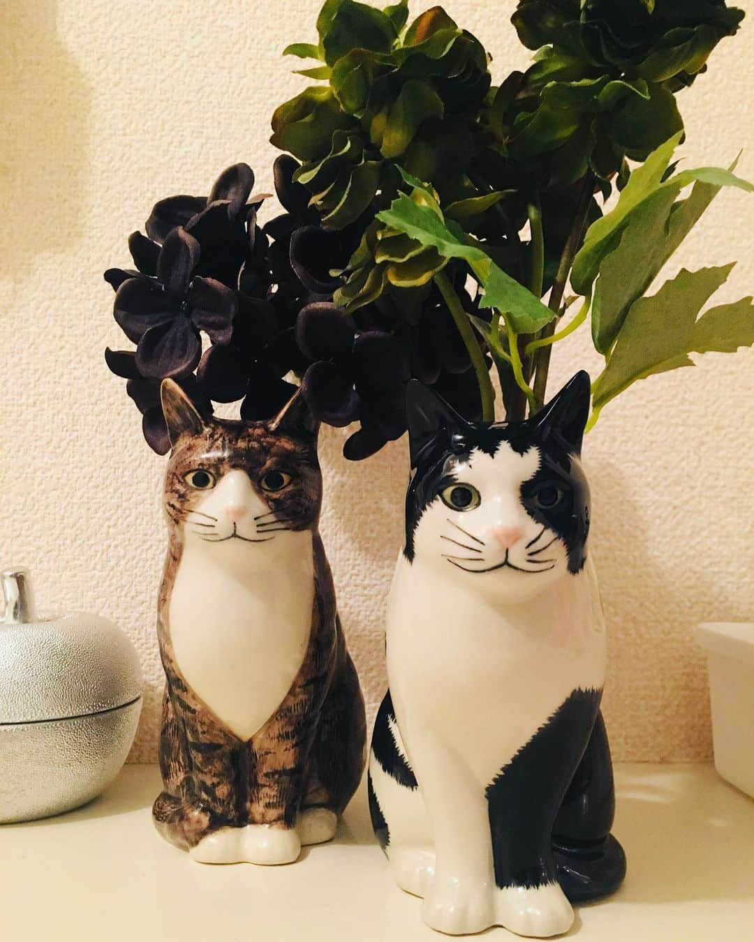 岡本啓佑さんのインスタグラム写真 - (岡本啓佑Instagram)「うちにむぎみたいなのいます。#むぎ猫 #quailceramics #flowerbase」6月23日 22時34分 - okamoto_keisuke