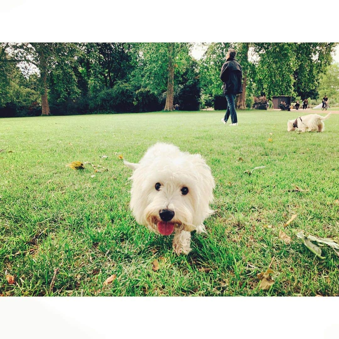 紗栄子さんのインスタグラム写真 - (紗栄子Instagram)「🐶💖 #london」6月23日 22時44分 - saekoofficial