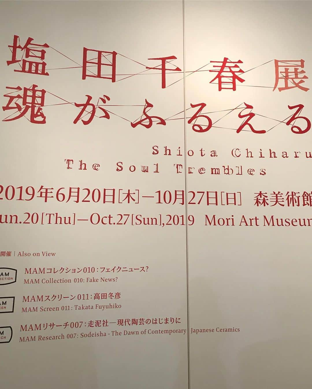 小藪奈央さんのインスタグラム写真 - (小藪奈央Instagram)「#ChiharuShiota exhibition at Mori Art Museum in Tokyo  Really interesting 🌡 ドレスの展示も実際に見たかったな、、 #塩田千春」6月23日 22時37分 - nao_now