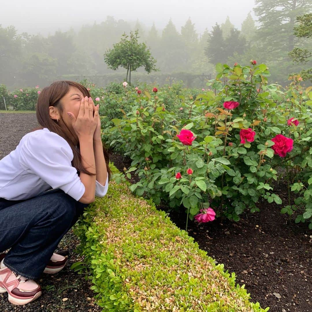 岡副麻希さんのインスタグラム写真 - (岡副麻希Instagram)「🌹 霧と緑、アリエッテイの世界に お邪魔した気分になりました🥰💭. #いつかの脱出不精の旅 #インスタ用にとたくさん撮ってくれた #わちゃわちゃ #バラ#薔薇#みどりの世界#バラの園 #無加工 でこの不思議な色！ #トトロ が出てきそうで遭遇できなかった あすからまた一週間がんばりましょ‼︎😘😘 .  このあと23時半からは『#スーパーGTプラス』、 ぜひご覧ください😇 中尾さんの潜入、お見逃しなく😎✨ #テレビ東京 系列」6月23日 22時42分 - maki_okazoe_official