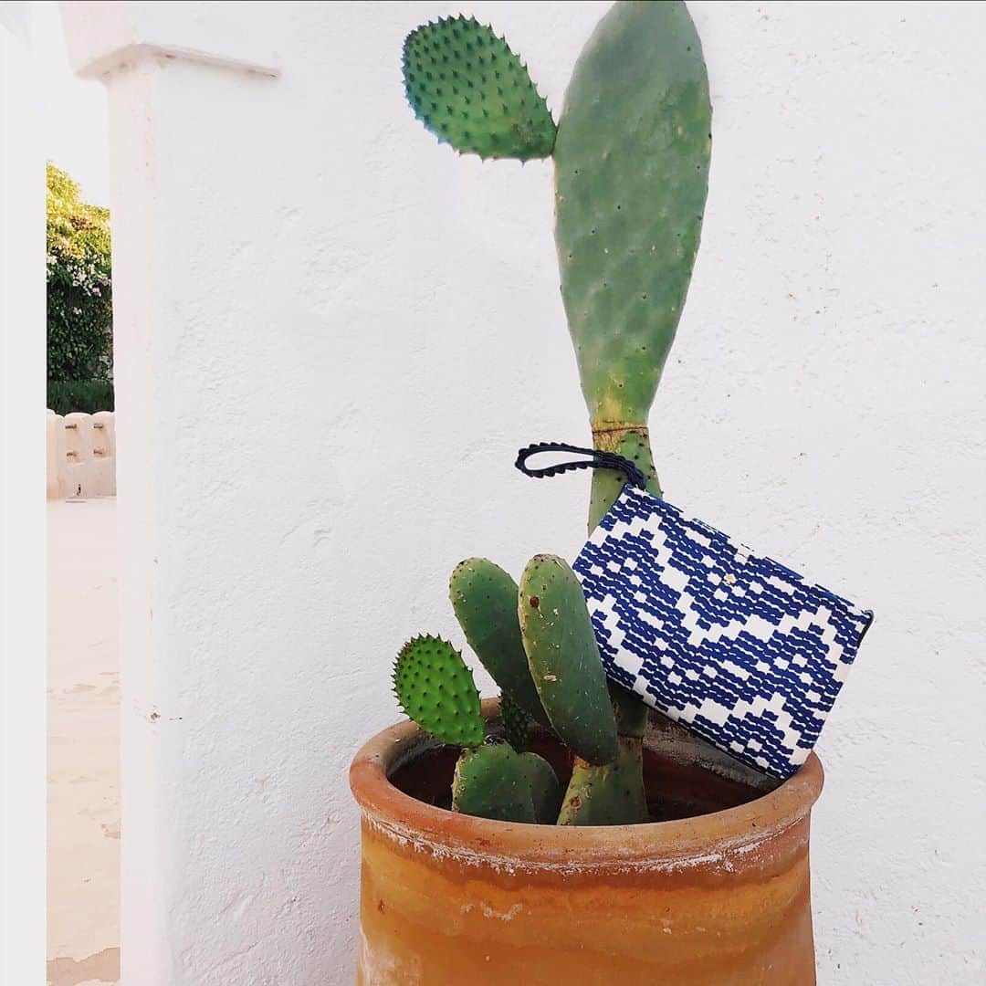 ケイト・スペードさんのインスタグラム写真 - (ケイト・スペードInstagram)「hold me closer, tiny cactus. 🎶 #on_purpose #katespade #loveinspades」6月23日 22時51分 - katespadeny