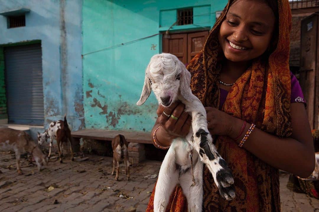 のインスタグラム：「Photo by @amytoensing | A young woman holds her goat in Kachhpura Village in Agra, India. #India #Culture #Women」