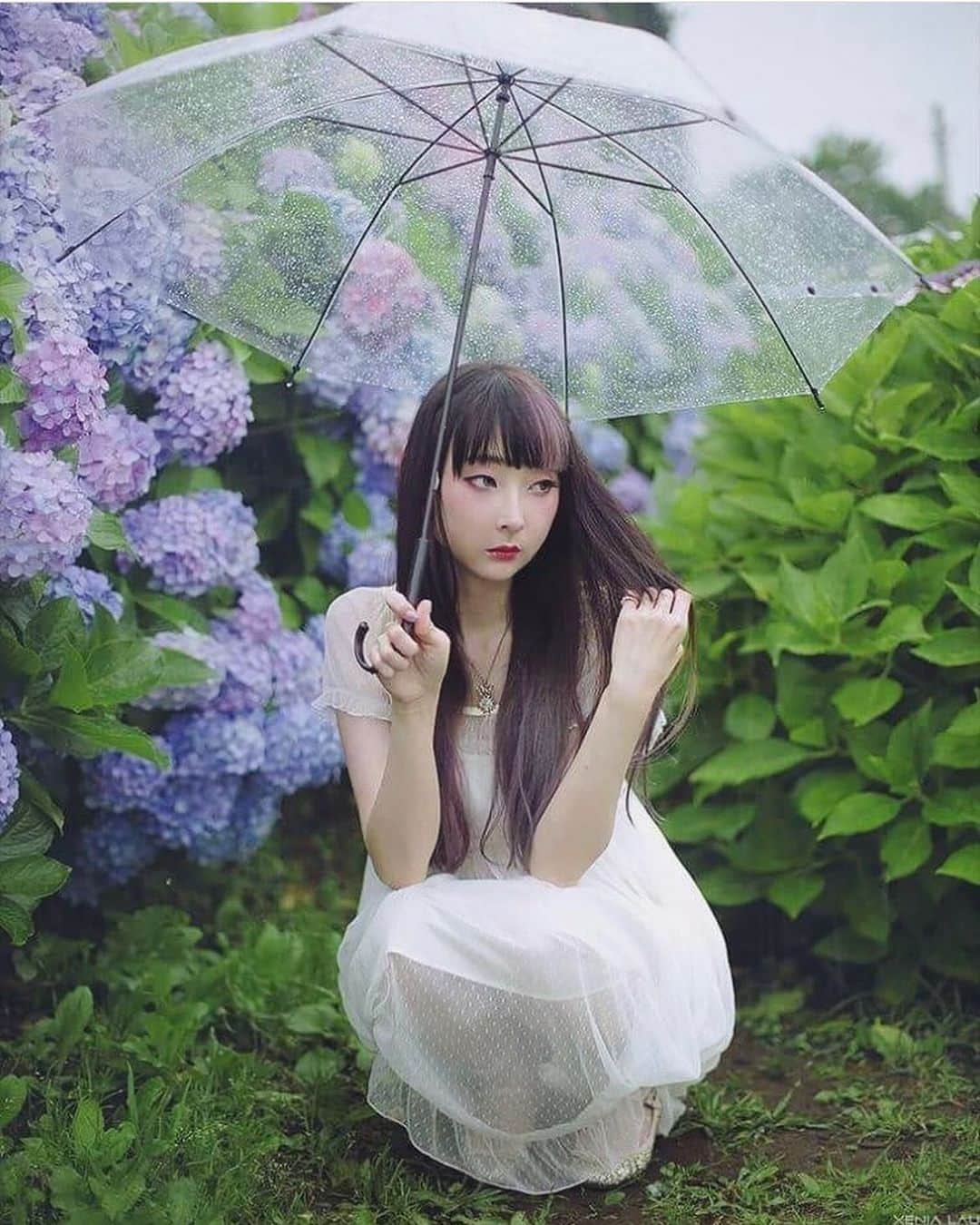 RinRinさんのインスタグラム写真 - (RinRinInstagram)「梅雨🌧 Rainy day activities🙃☔️ (Photo by @xenia.lau ) . . . #rinrindoll #xenialau #rinrinmodel #hydrangea #japanesehydrangea #tokyo #japan #rainyseason #紫陽花 #あじさい #梅雨 #東京」6月23日 23時11分 - rinrindoll