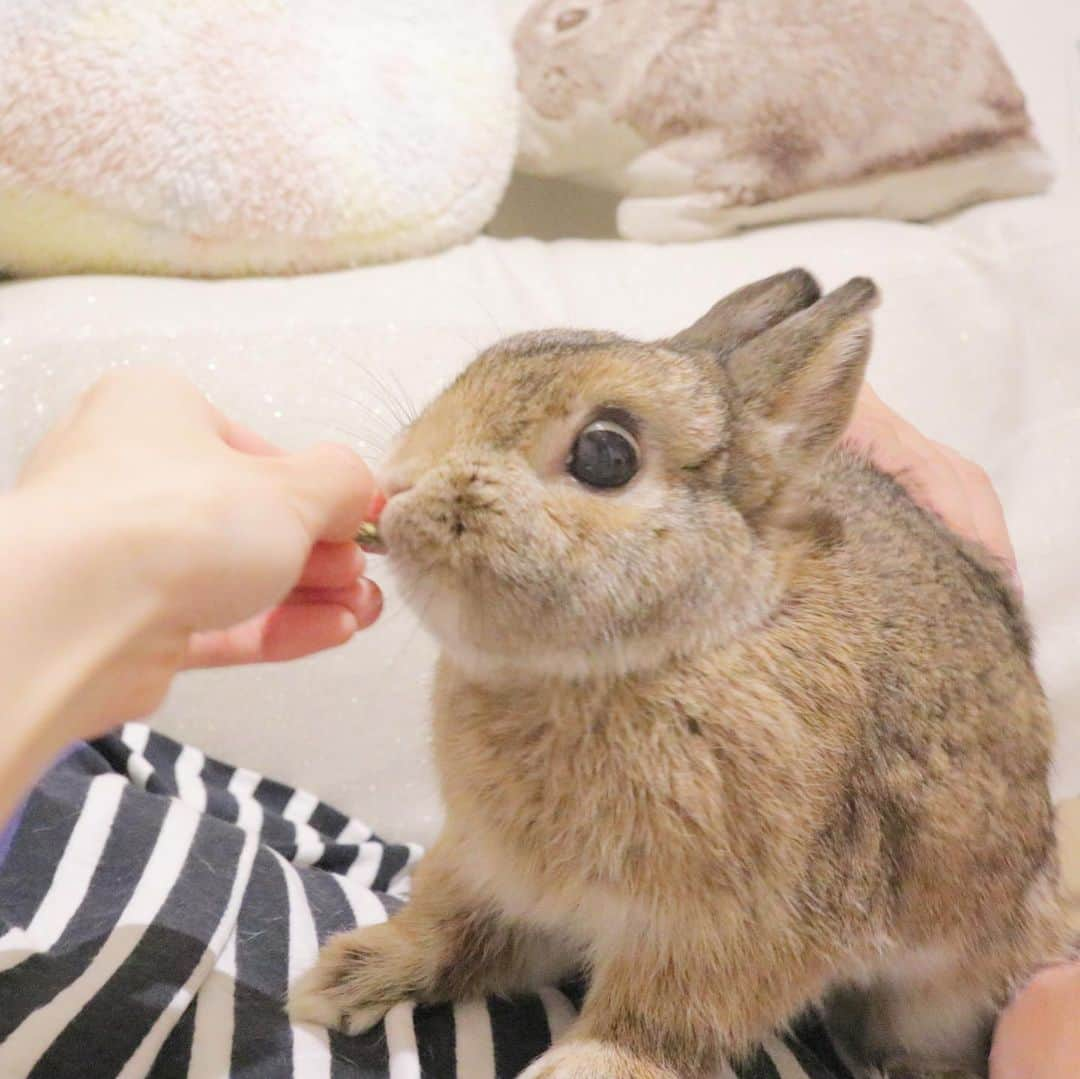 うー & なー ❤️ウチムラのインスタグラム